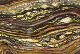 Polished Tiger Iron Stromatolite Slab - Billion Years #351895-1